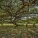 Caracal Lodge - 246053