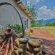 Caracal Lodge - 246055