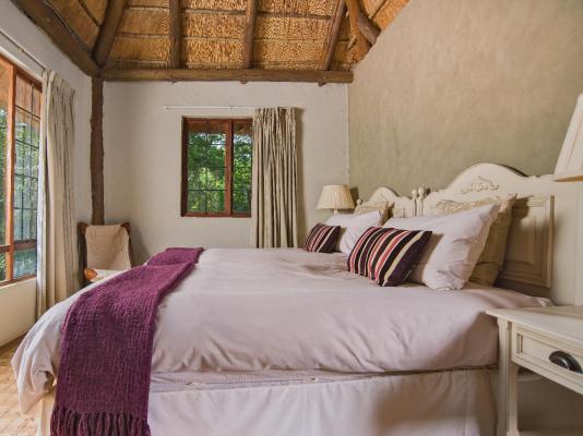 Caracal Lodge - 246076