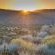 Kagga Kamma Nature Reserve - 246093