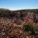 Kagga Kamma Nature Reserve - 246096