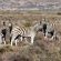 Kagga Kamma Nature Reserve - 246097