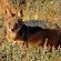 Kagga Kamma Nature Reserve - 246107