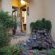 Hoopoe Haven Guest House - 246146