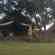 Hoopoe Haven Guest House - 246173