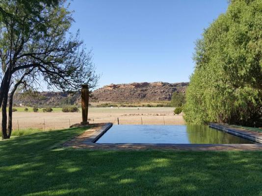 De Pakhuys Guest Farm - 246235