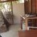 De Pakhuys Guest Farm - 246253