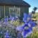 De Pakhuys Guest Farm - 246268