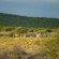 Epacha Game Lodge and Spa - 246407