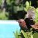 Cosy Corner Guest House - 246977