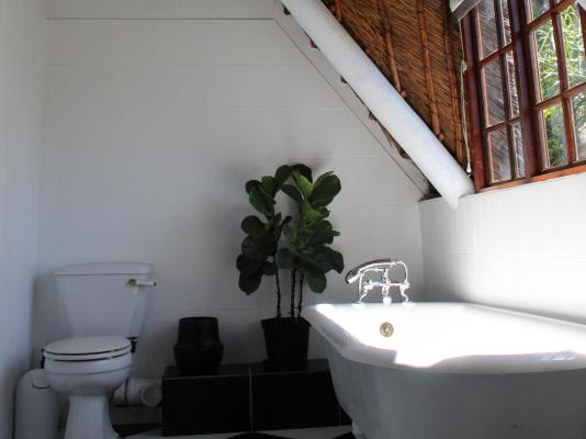 Cosy Corner Guest House - 247019
