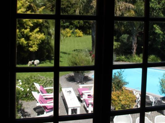 Cosy Corner Guest House - 247022