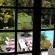 Cosy Corner Guest House - 247022