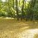 Country Cottages - 247300