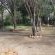 Country Cottages - 247305