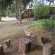 Country Cottages - 247308
