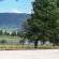 Waterwoods Equestrian Venue and Cottages - 247341