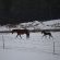 Waterwoods Equestrian Venue and Cottages - 247342