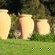 Apricot Gardens Boutique Guesthouse - 247447
