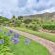 Apricot Gardens Boutique Guesthouse - 247450