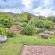 Apricot Gardens Boutique Guesthouse - 247461