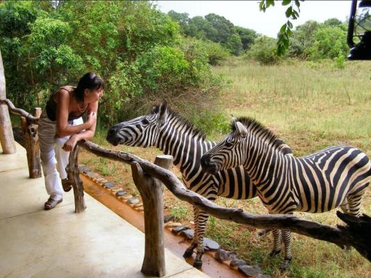 Leopard Walk Lodge - 247719