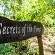 Leopard Walk Lodge - 247720