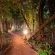 Leopard Walk Lodge - 247722