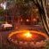 Leopard Walk Lodge - 247726