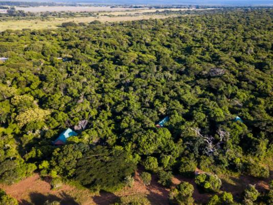 Leopard Walk Lodge - 247729