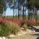 Skeiding Guest Farm - 247771
