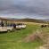 Skeiding Guest Farm - 247777