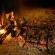 Skeiding Guest Farm - 247804