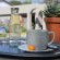 Richtershuyz Lifestyle Guesthouse - 248107