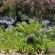 Richtershuyz Lifestyle Guesthouse - 248114