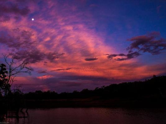 Iwamanzi Game Lodge - 248278