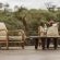 Iwamanzi Game Lodge - 248288