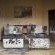 Iwamanzi Game Lodge - 248303