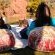 Mologa River lodge - 248362