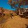 Mologa River lodge - 248364