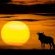 Mologa River lodge - 248366