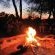 Mologa River lodge - 248367