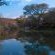 Mologa River lodge - 248370