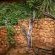 Mologa River lodge - 248378