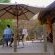 Mologa River lodge - 248426