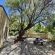 Coniston Villa - 248459