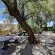 Coniston Villa - 248464