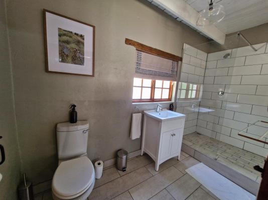 Room image 7