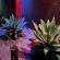 Lake Boutique Hotel - 248582