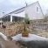 Perlman House - 248599
